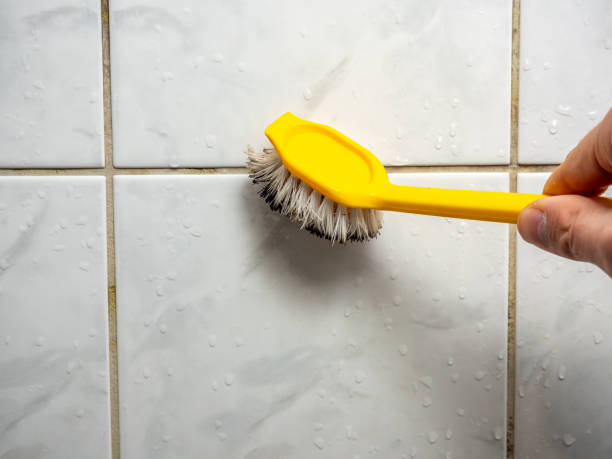 Best Residential Mold Removal  in Dix Hills, NY