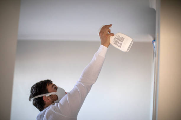Professional Mold Removal in Dix Hills, NY