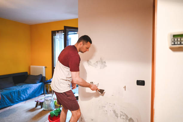 Best Toxic Mold Removal  in Dix Hills, NY